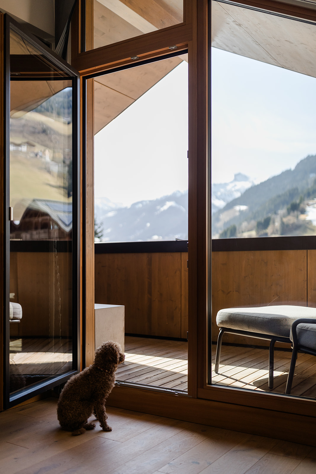 Hund vor Fenster - Hundehotel - 4 Sterne Hotel Bergzeit